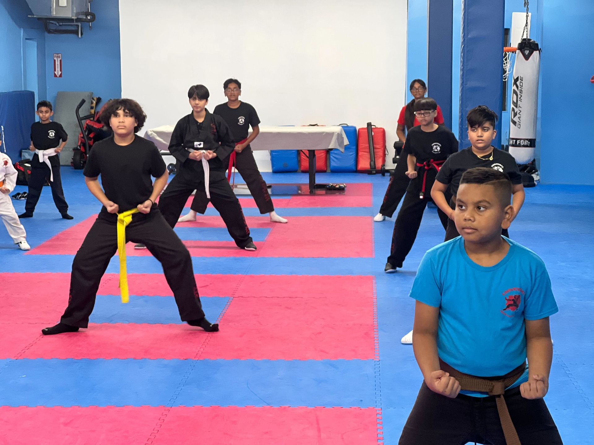 Adult students drilling jab-cross and hip escapes at Universal Mixed Martial Arts in South Richmond.