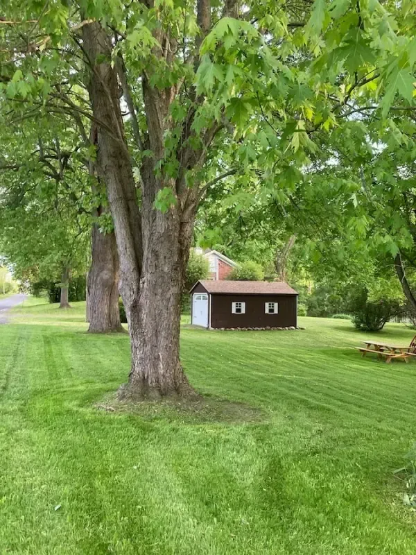 Lush green lawn with trees and a brown shed in the background.