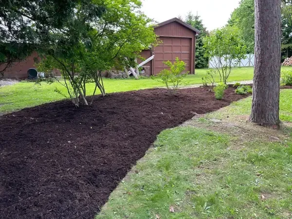 Mulched garden bed with green shrubs and a brown garage in the background.
