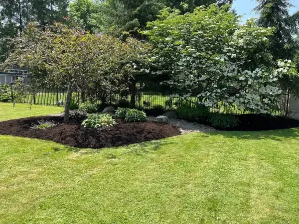 Lush green lawn with a landscaped garden of trees, mulch, and small plants. Bright sunlight.