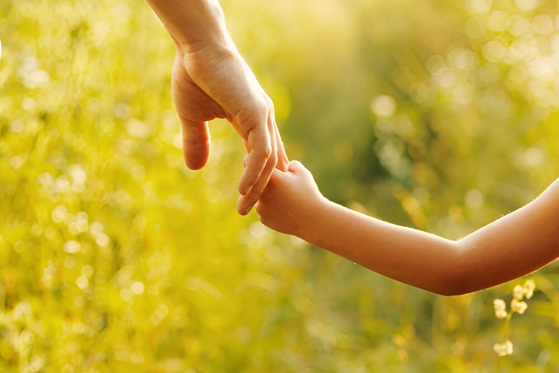 A Woman is Holding a Child 's Hand in a Field — Bradley J Bragg - Solicitor in Atherton, QLD