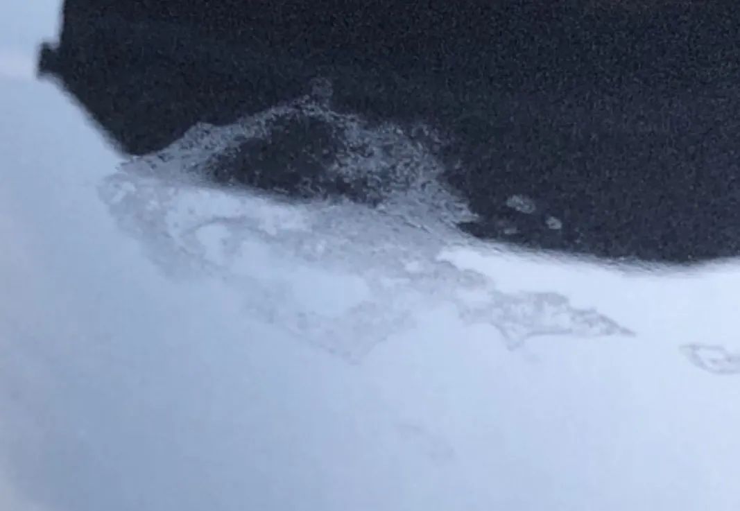 bird poop on car result