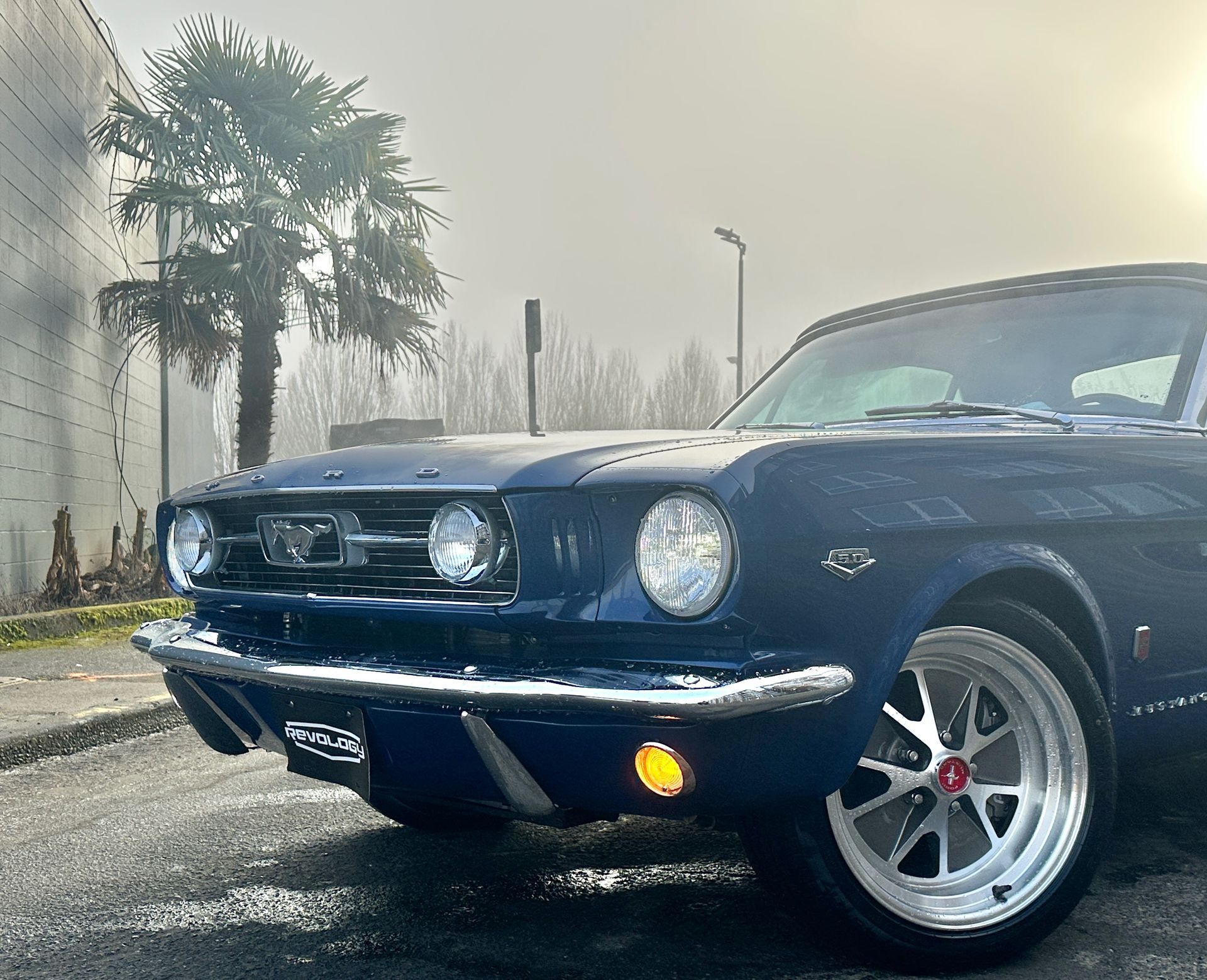 Dark blue classic Mustang car parked outdoors, sunny day.