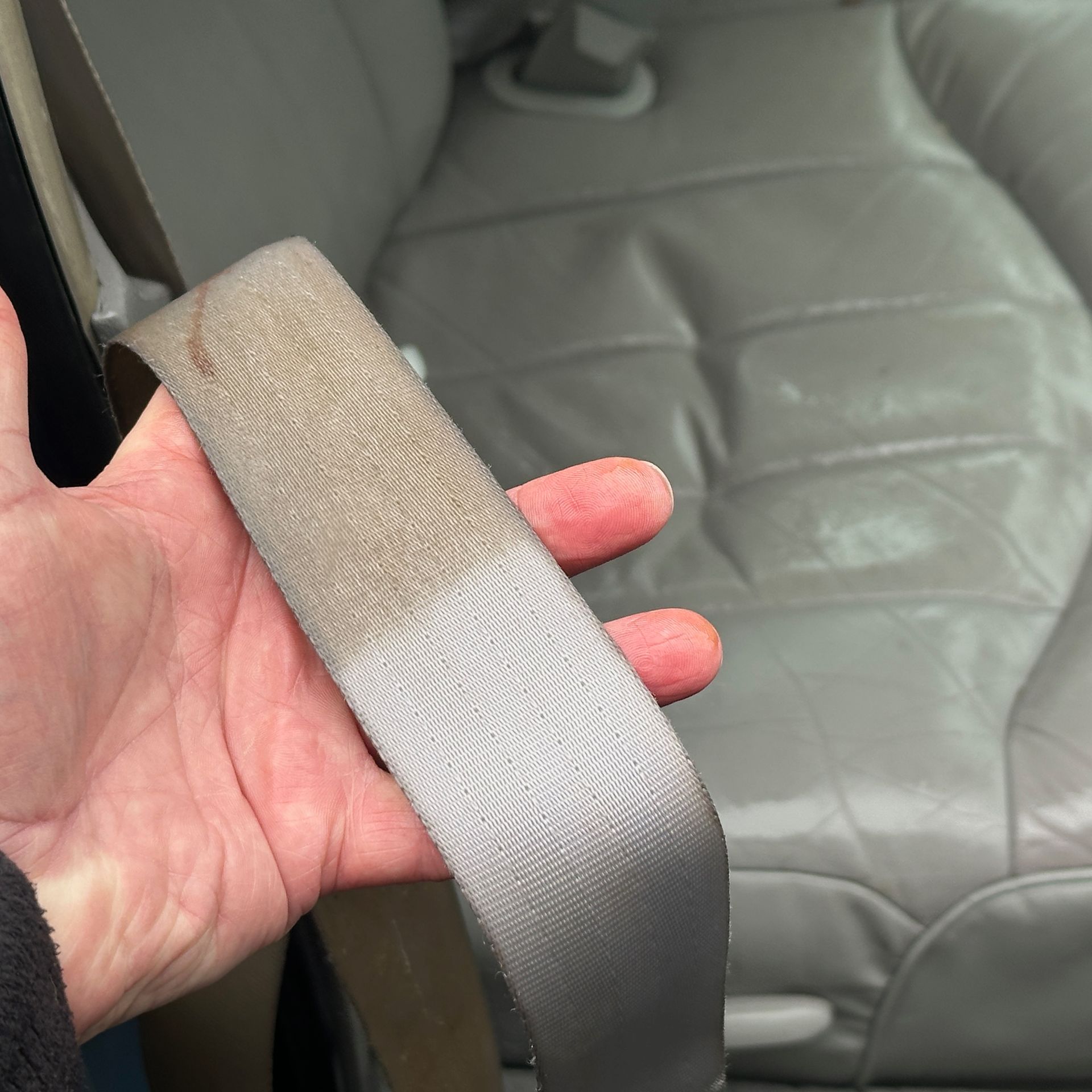Hand holding a light gray car seatbelt; a dirty section is visible. Gray leather car seat in background.