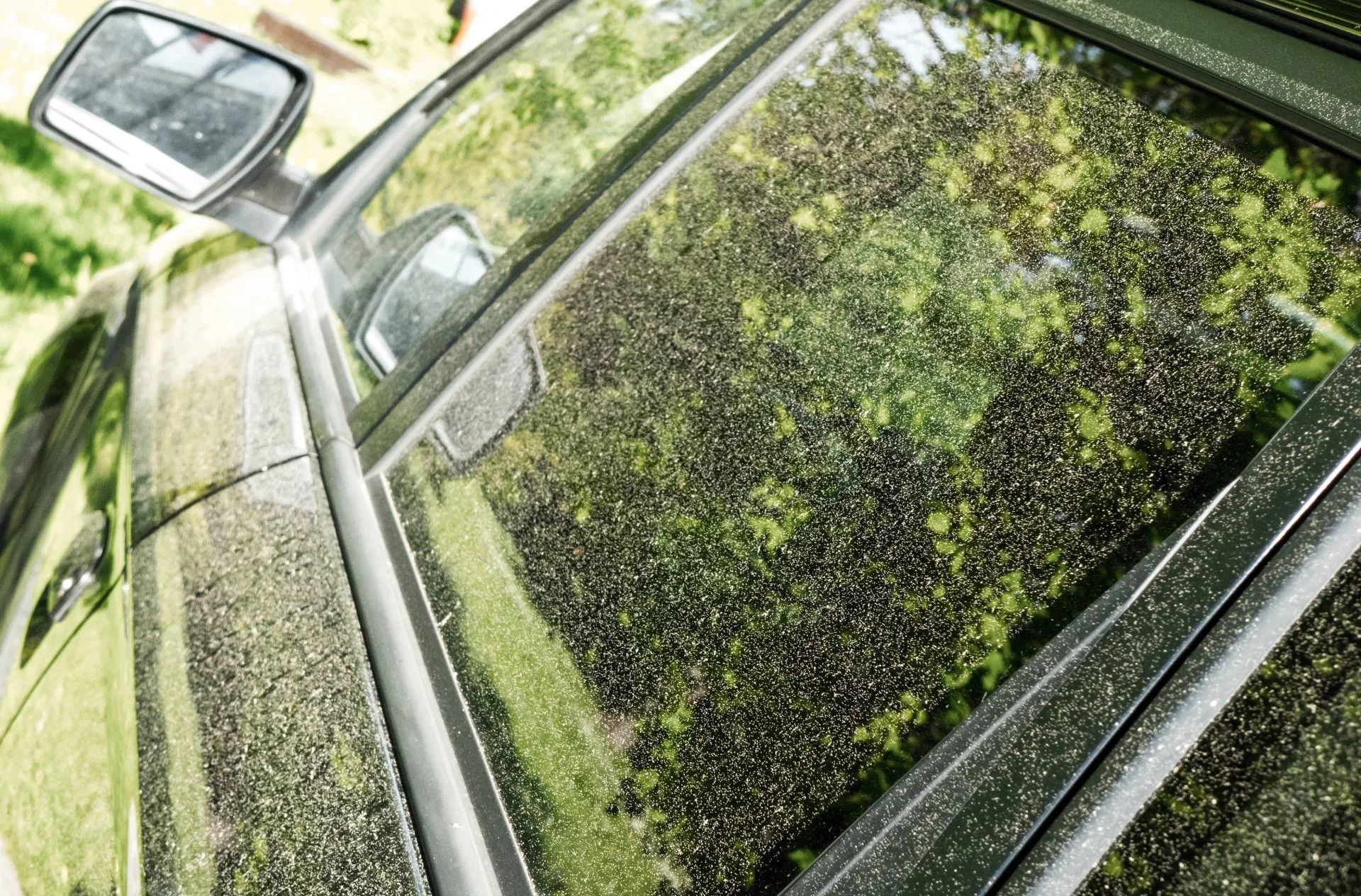 car windows covered in pollen