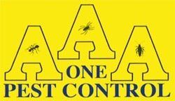 AAA One Pest Control—Exterminators on the Fraser Coast
