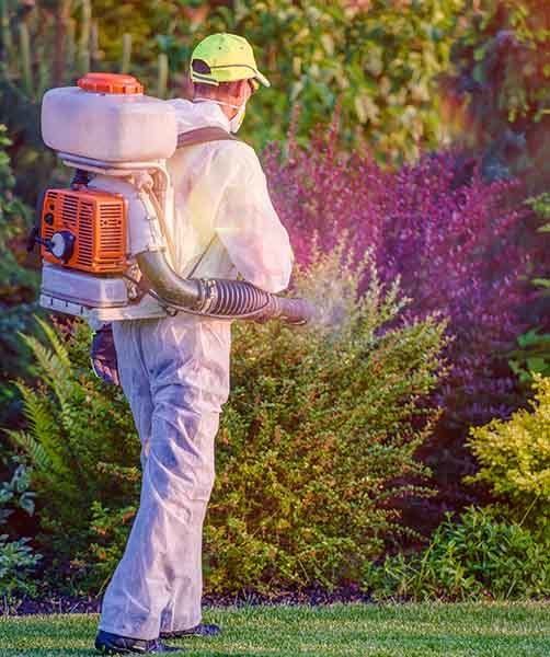 Pest Control Garden Spraying — AAA One Pest Control form Home Pest Control in Fraser Coast, QLD