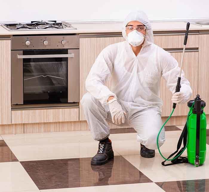 Contractor Doing Pest Control At Kitchen — AAA One Pest Control form Gallery in Fraser Coast, QLD