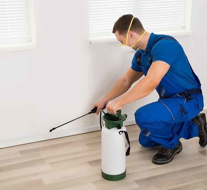Worker Spraying Pesticide — AAA One Pest Control form Exterminators in Fraser Coast, QLD