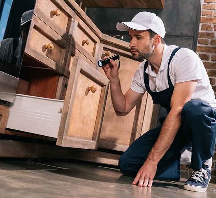 Worker Examining Kitchen — AAA One Pest Control form Exterminators in Fraser Coast, QLD