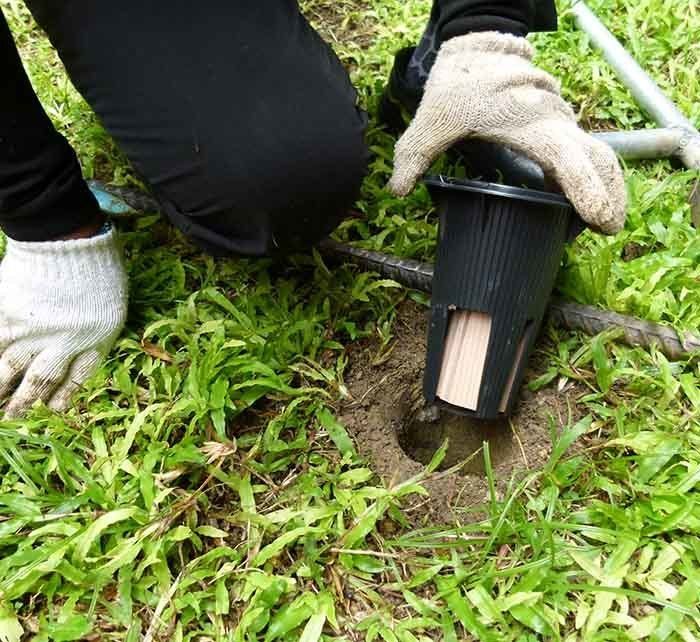 Termite Baiting Systems — AAA One Pest Control form Exterminators in Fraser Coast, QLD