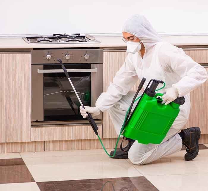 Doing Pest Control At Kitchen — AAA One Pest Control form Exterminators in Fraser Coast, QLD