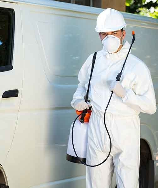 Pest Control Man Standing — AAA One Pest Control form About Us in Fraser Coast, QLD