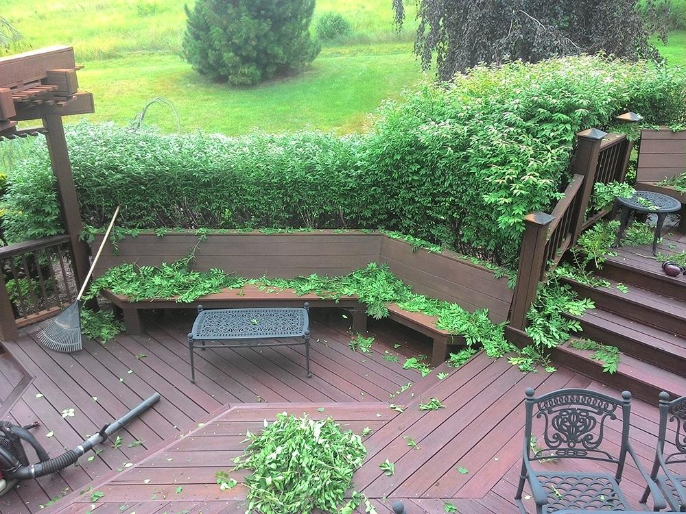 completed project 21