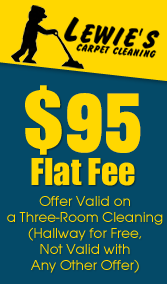 $95 Flat Fee, Offer Valid on a Three-Room Cleaning (Hallway for Free, Not Valid with Any Other Offer)