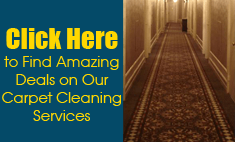 Special Offers, Carpet Cleaning in Lancaster, OH
