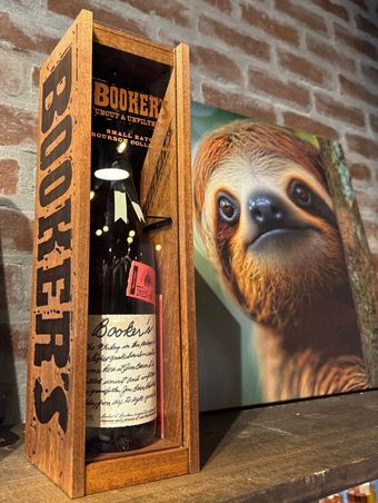 sloth pic