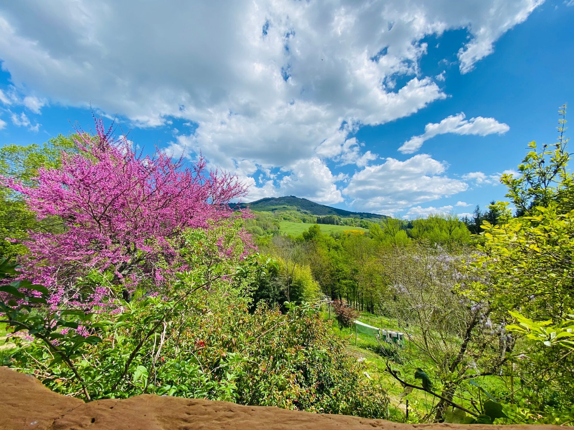 Paysage de montagne verdoyant et arboré.