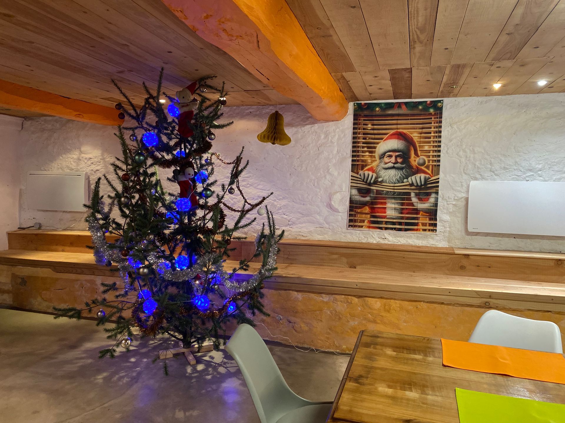 un haut de sapin cassé par le vent, hors de question d'en couper un juste pour Noel, sinon c'est en pot 