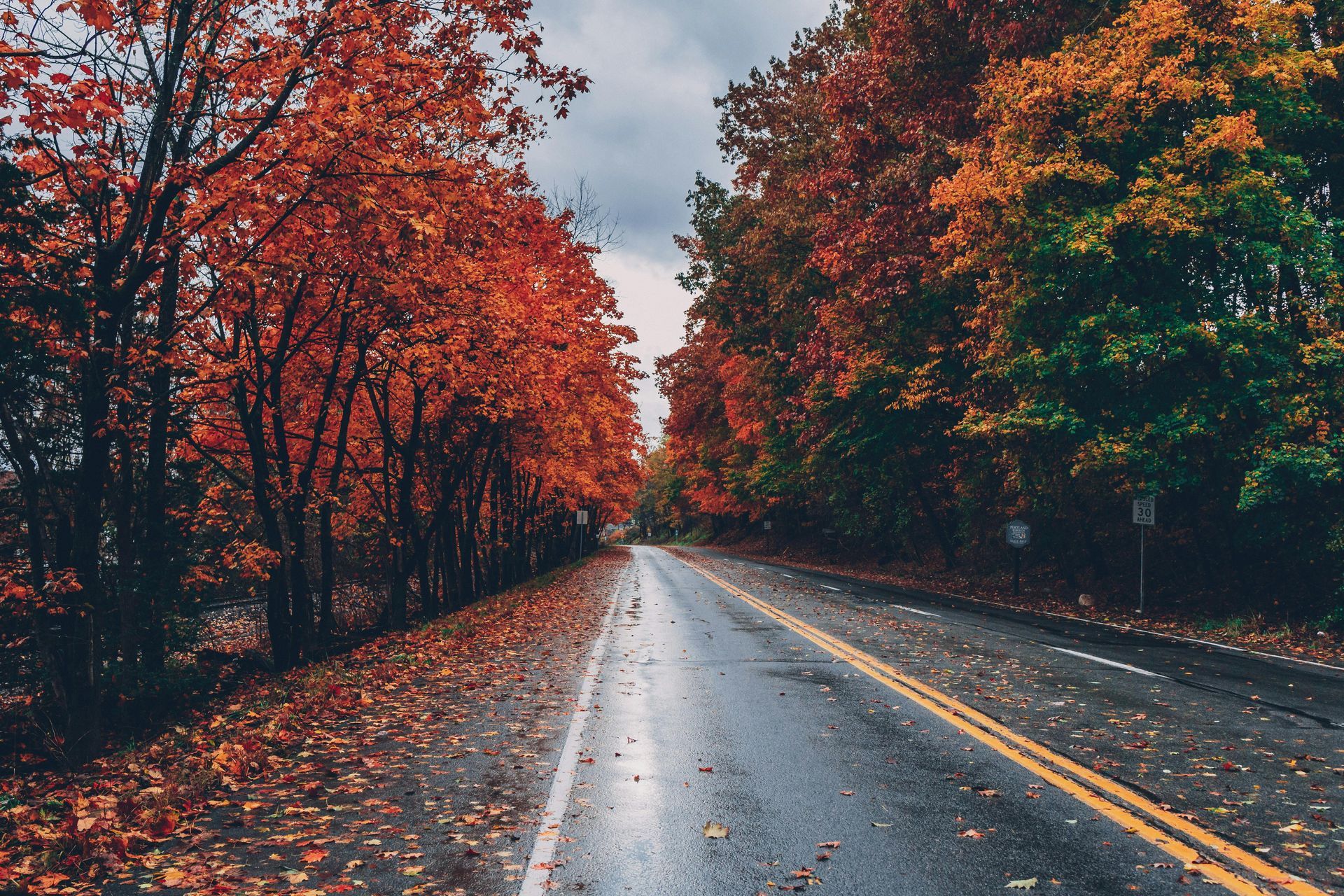 Trees with leaves changing colours as we enter Fall