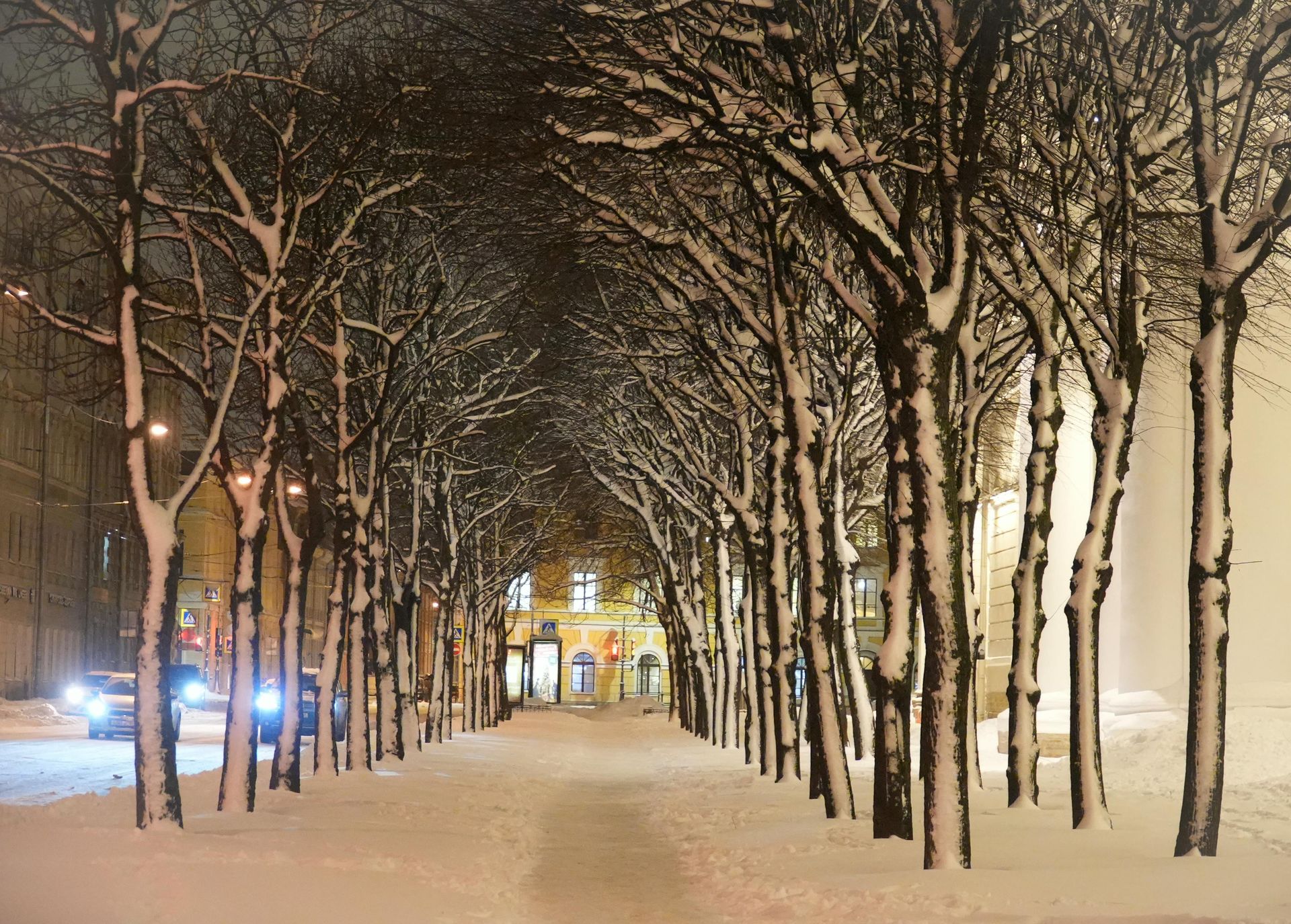 Heavy snow falls onto a quiet, tree-lined road illuminated by the soft glow of lights
