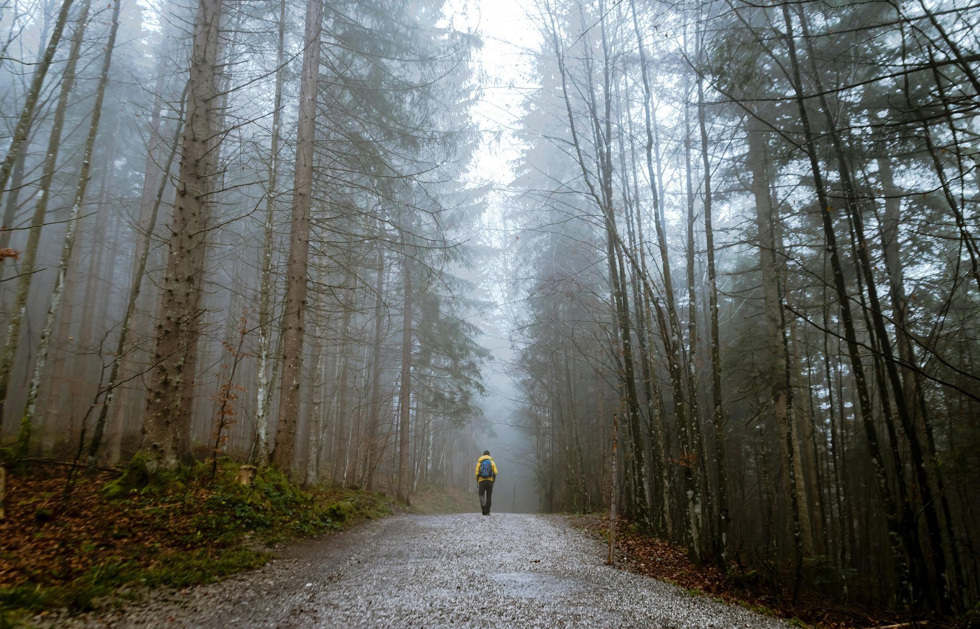 A person going on a walk in the woods for mental stimulation