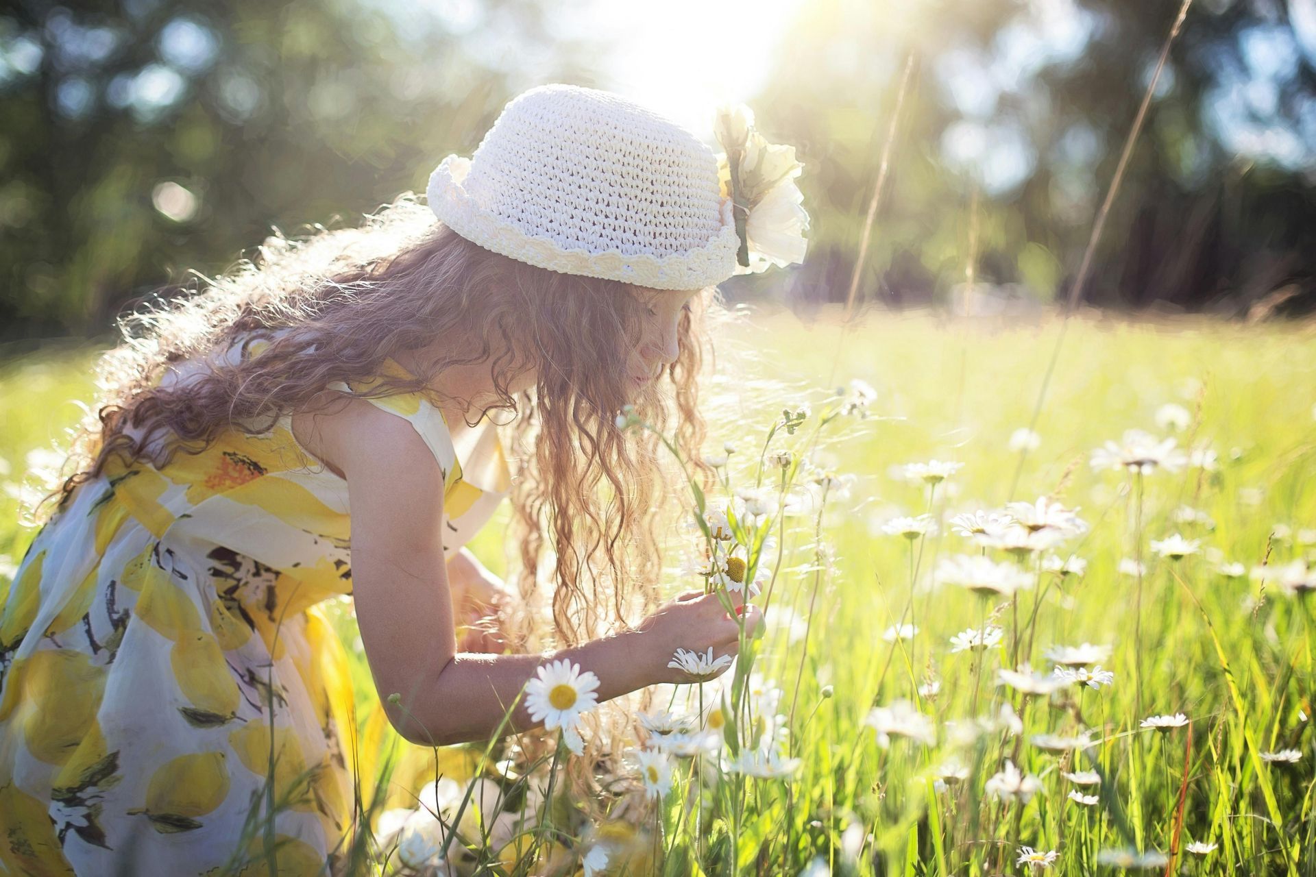 A little girl playing with flowers in the field