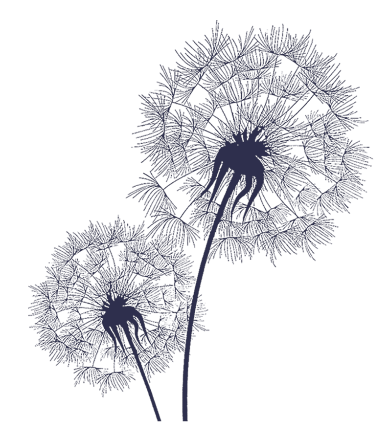 icona fiore soffione farmacia vignai