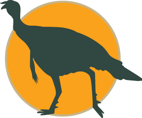 Kansas Turkey Hunting