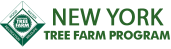 New York Tree Farm