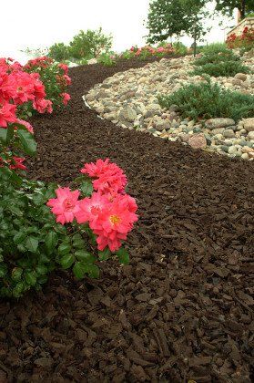 Mulch flower bed
