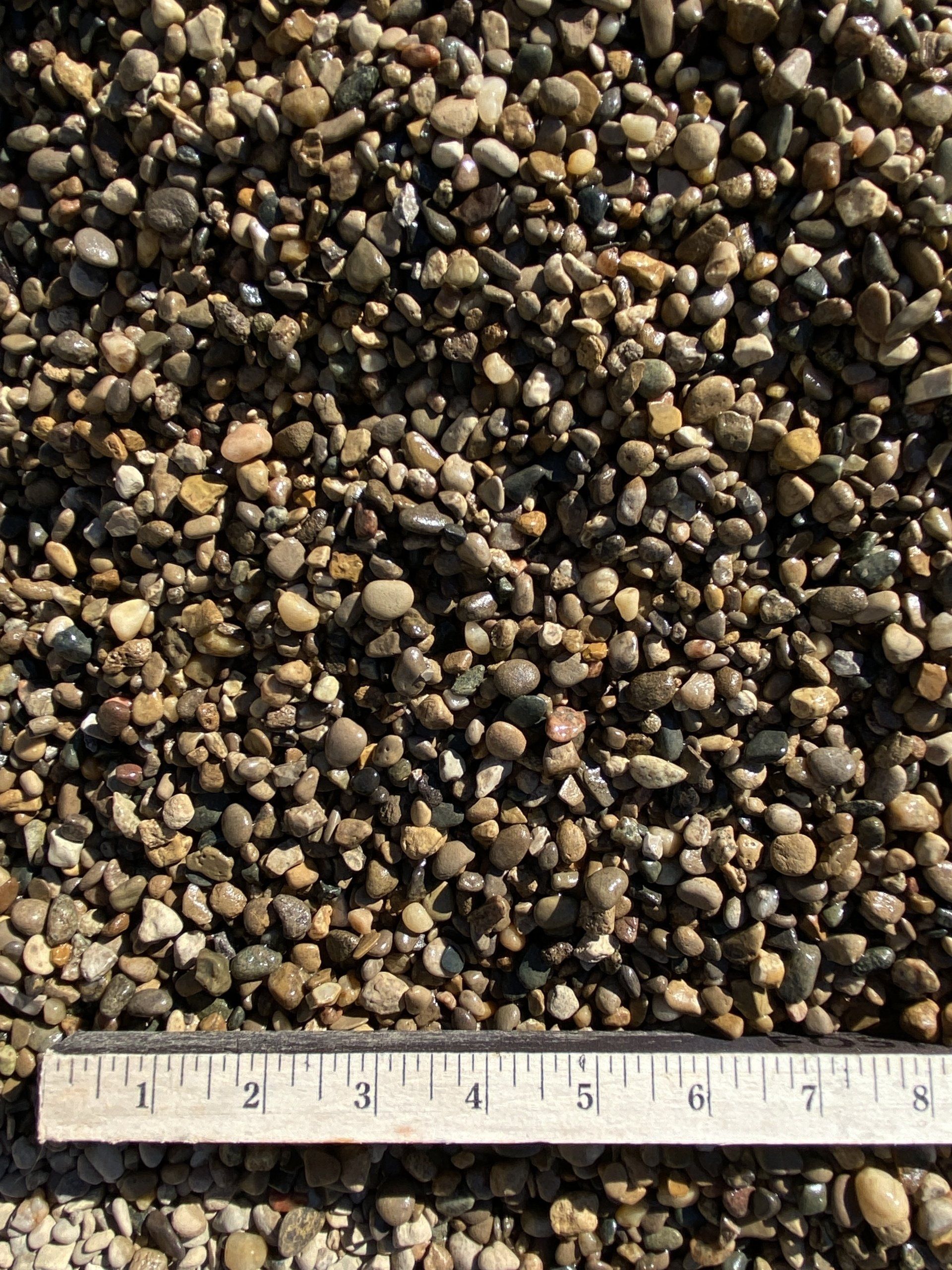 Missouri Pea Gravel