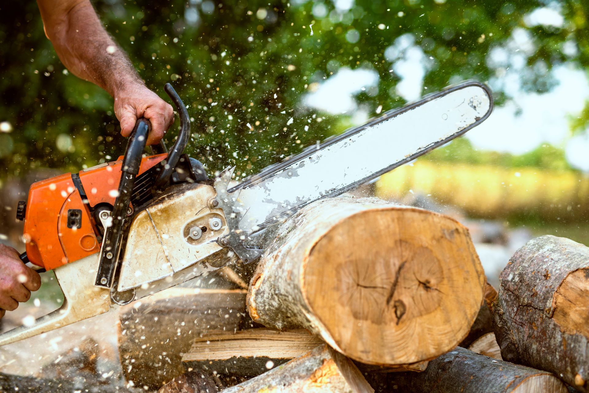 Person using an orange chainsaw to cut a log, wood shavings flying.