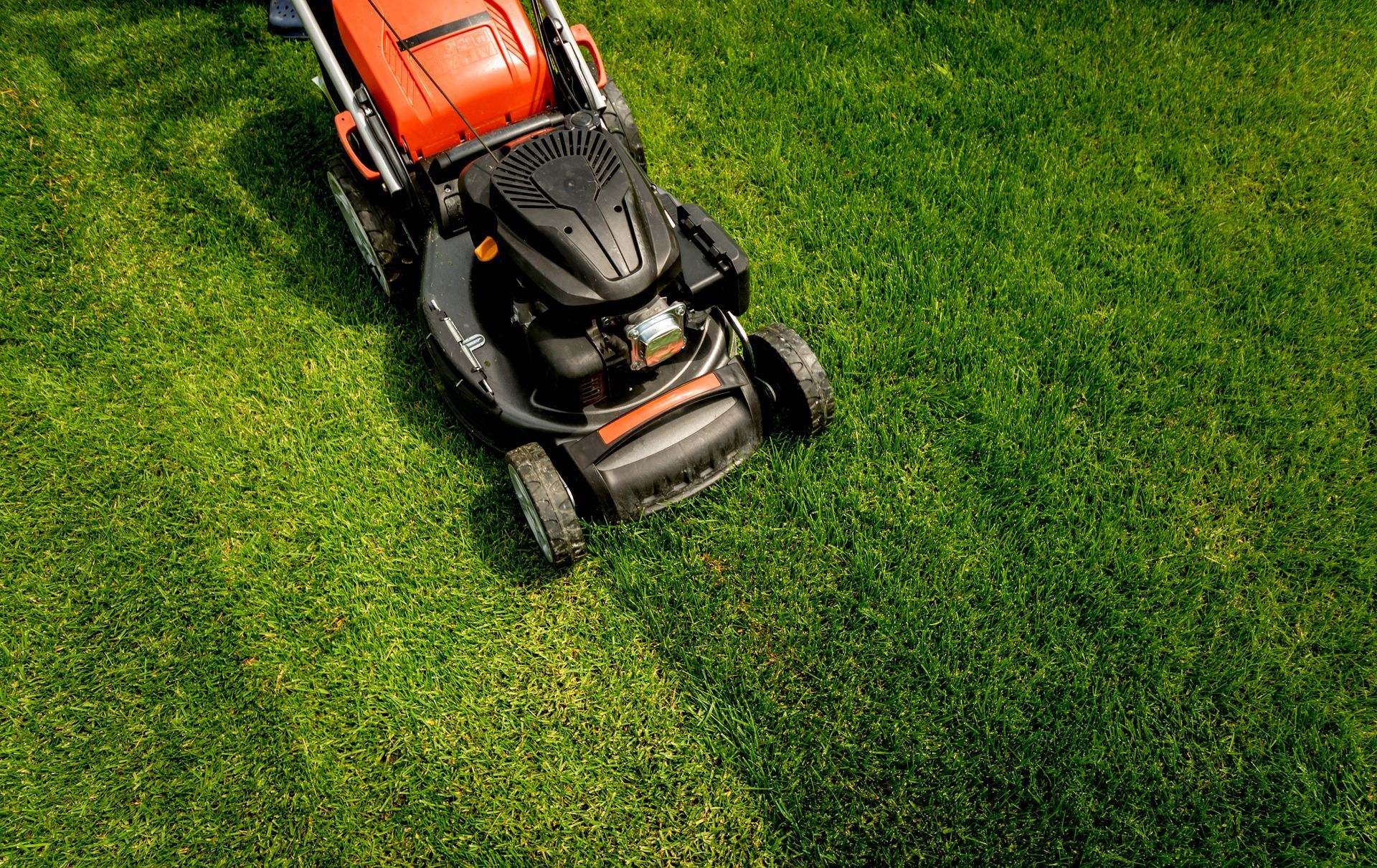 Lawnmower cutting fresh green grass on a sunny day.