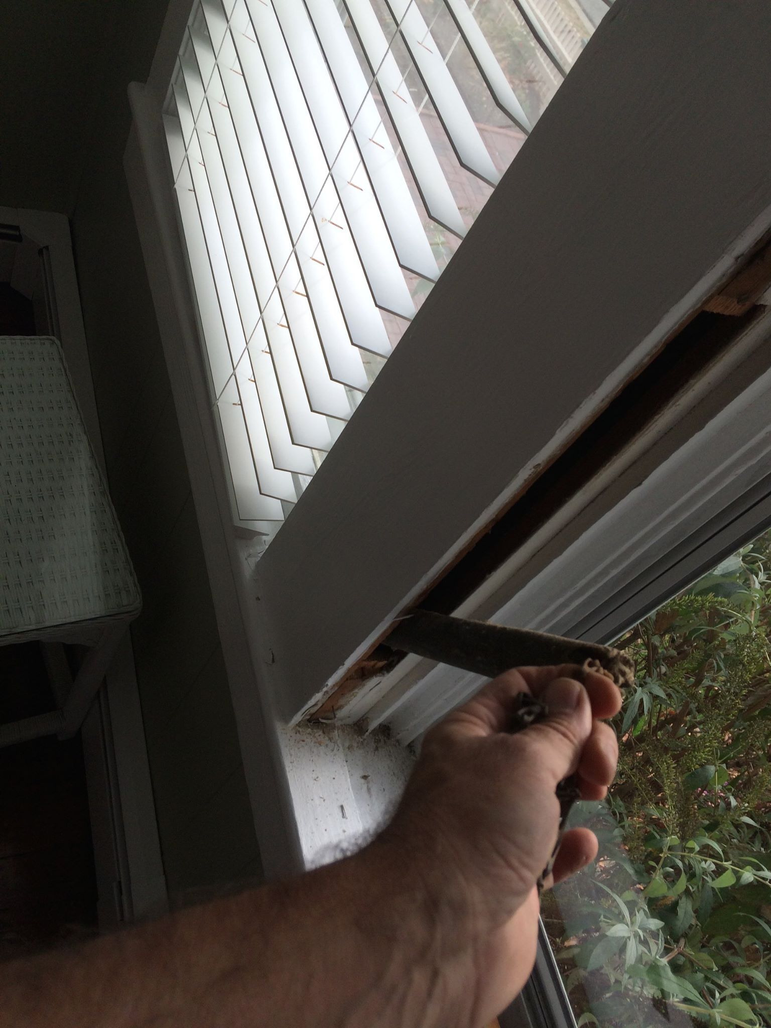 Window Repair