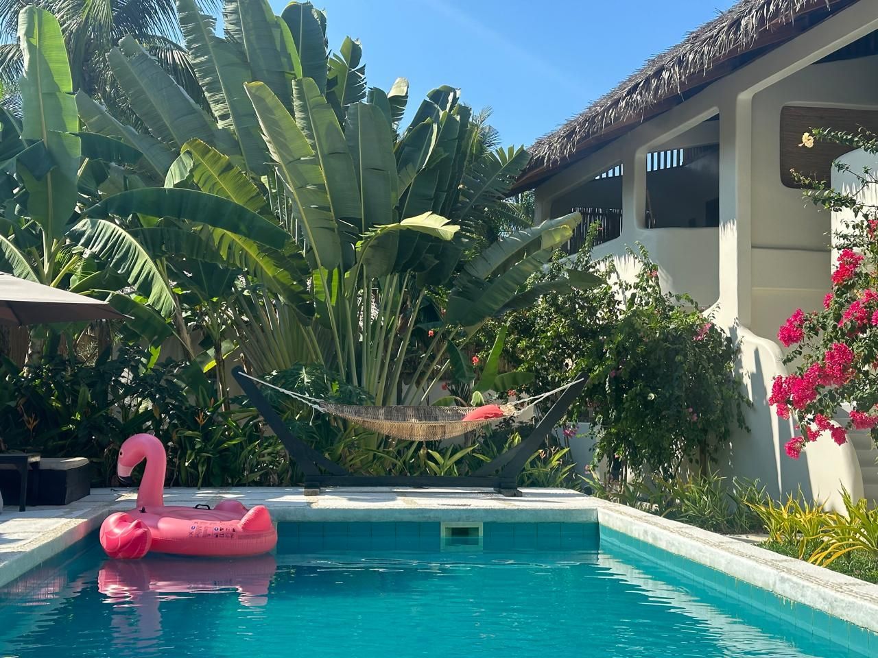 A swimming pool with a pink flamingo float in it