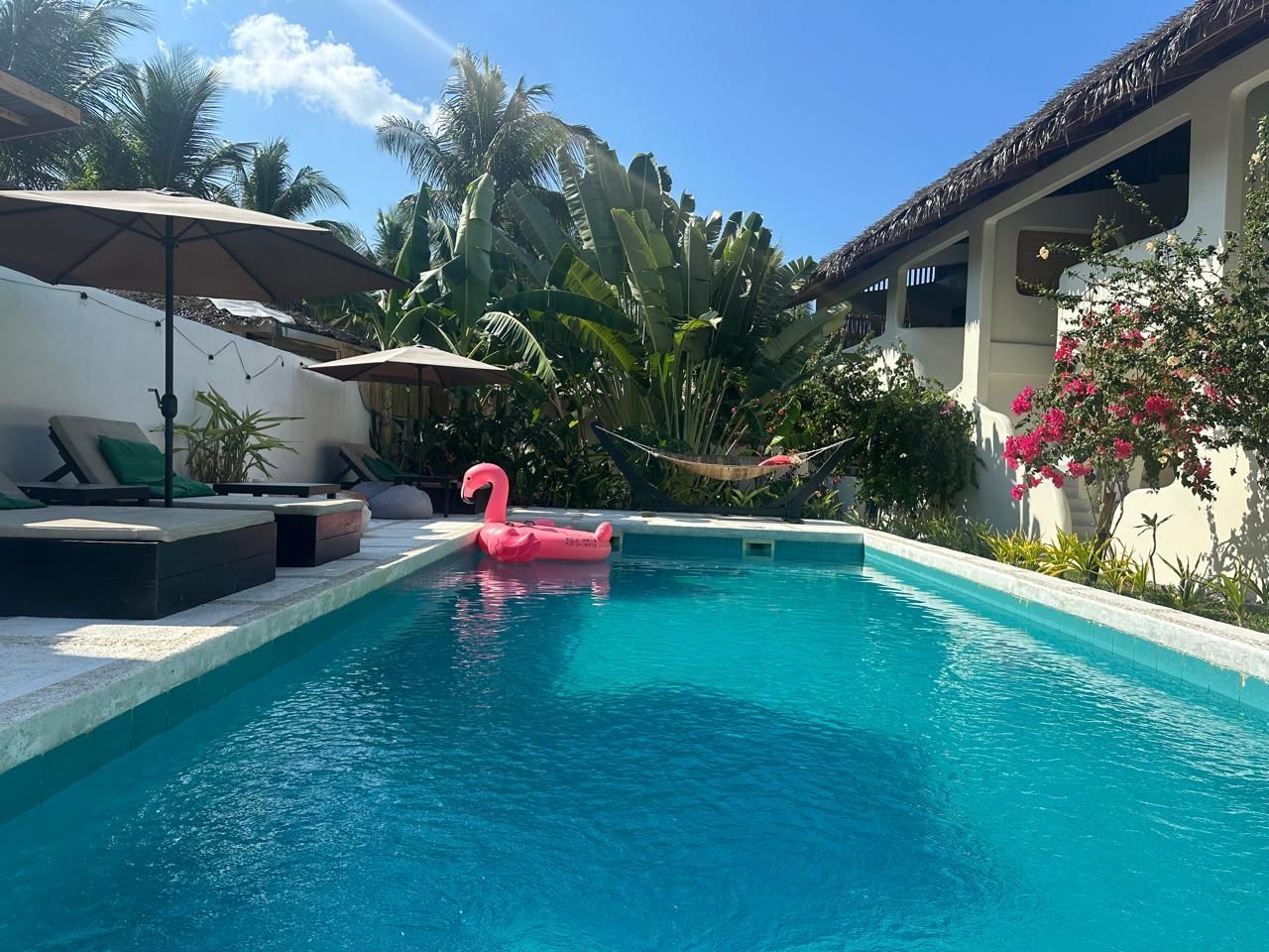 A large swimming pool with a pink flamingo float in it