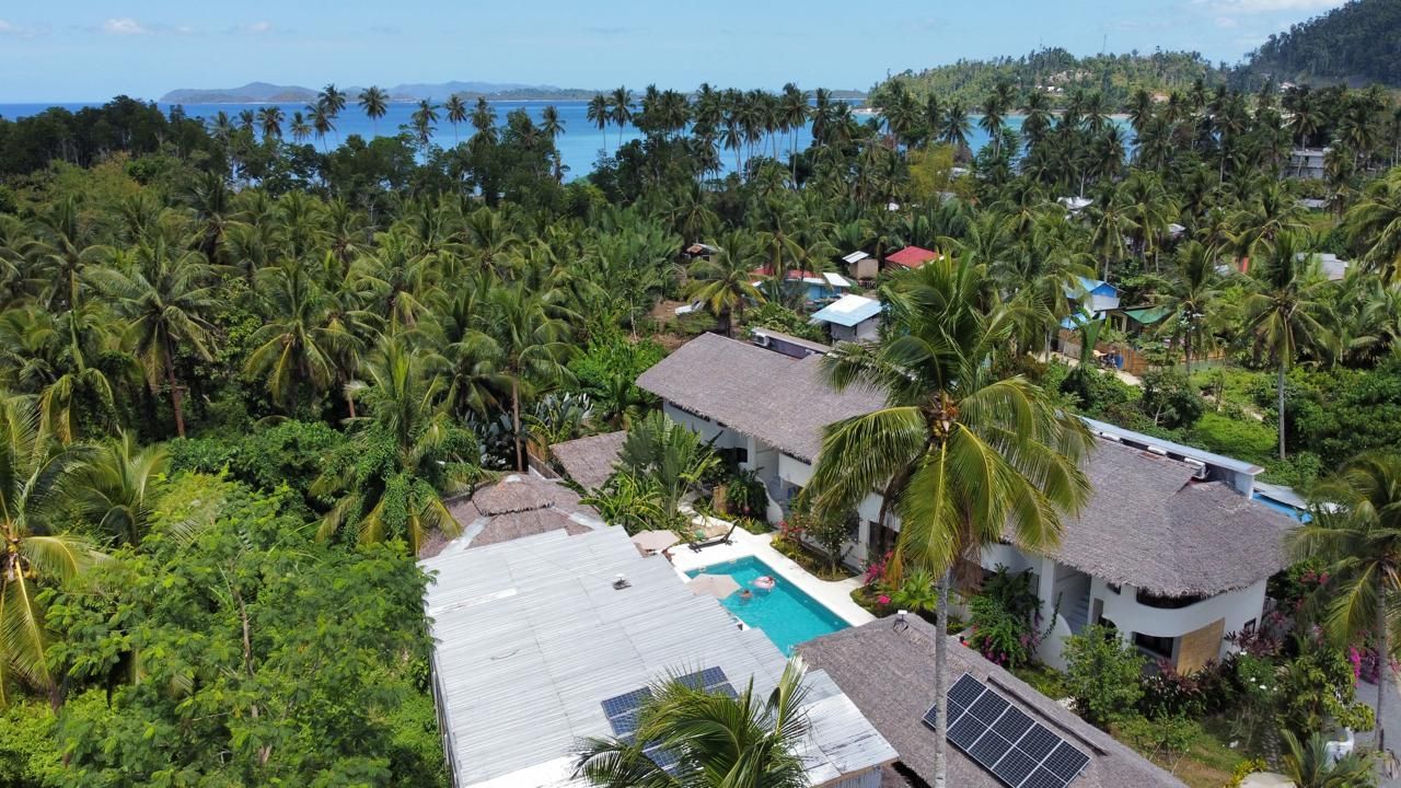 An aerial view of a house surrounded by palm trees and a swimming pool.