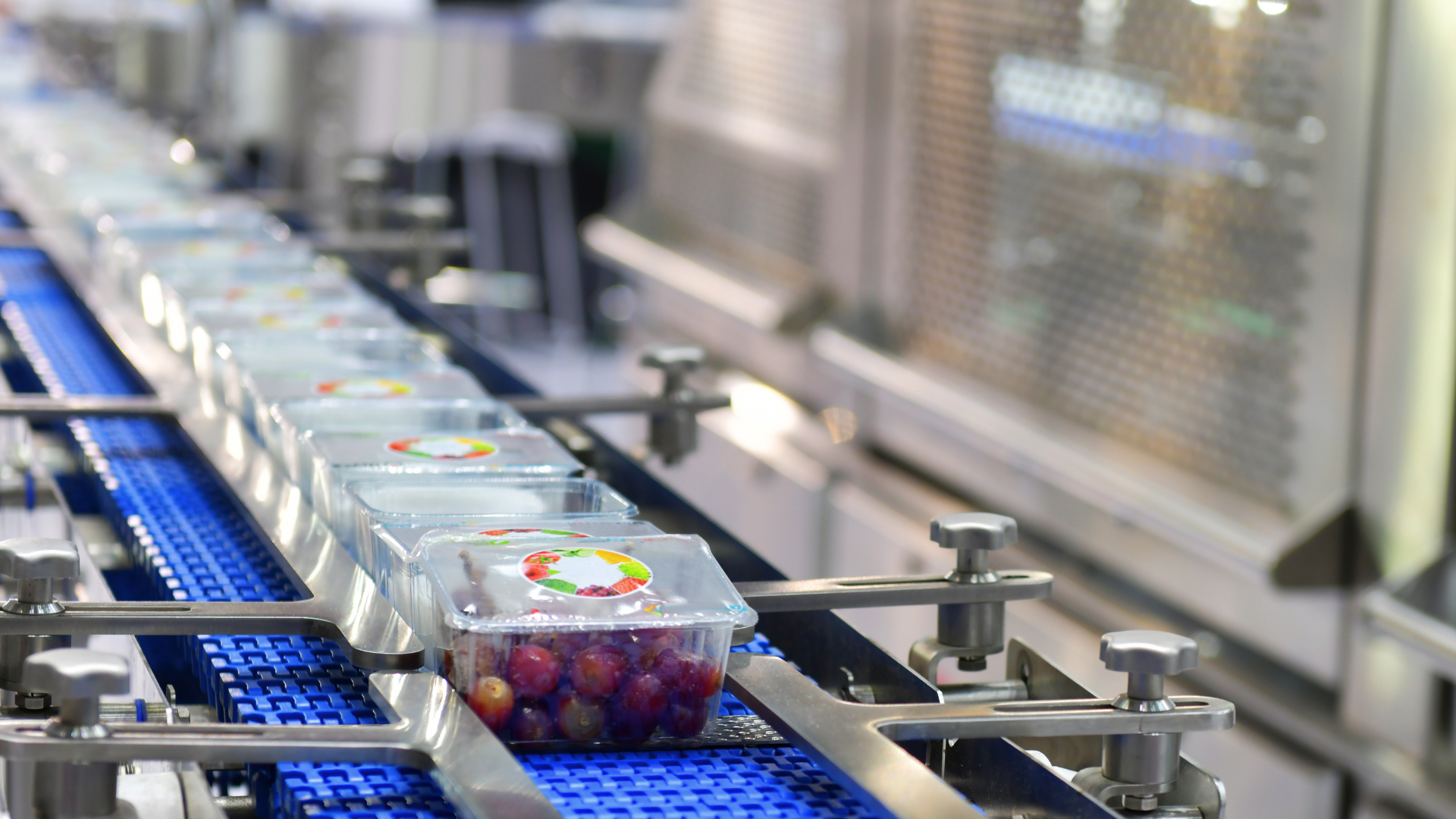 A conveyor belt filled with plastic containers of grapes in a factory.