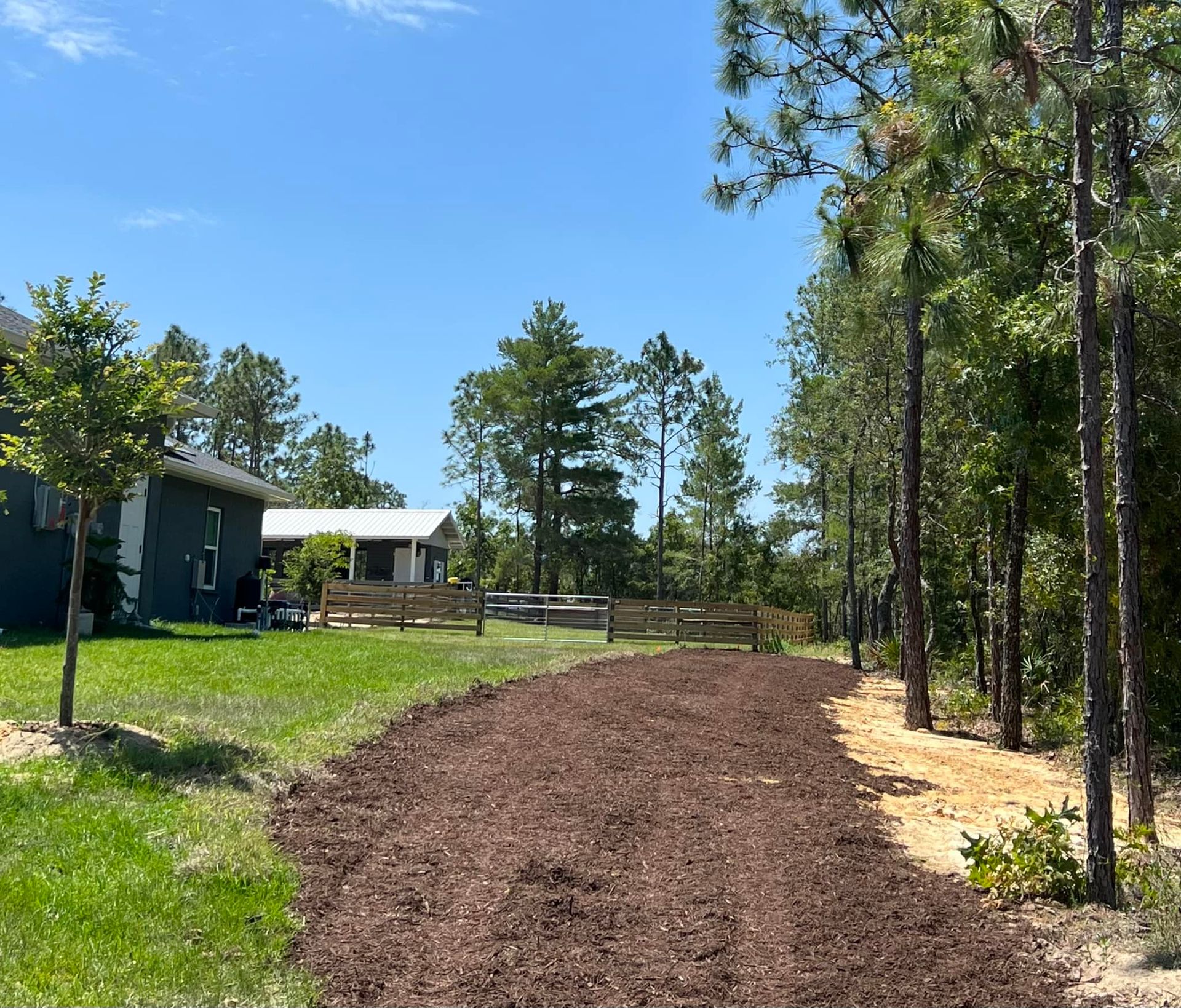 Mulched path between trees, leading toward houses with a blue sky.
