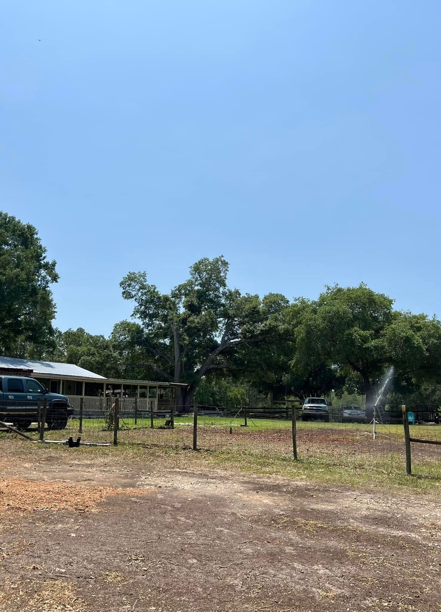 A sunny day with a house, trees, and vehicles visible through a gate.