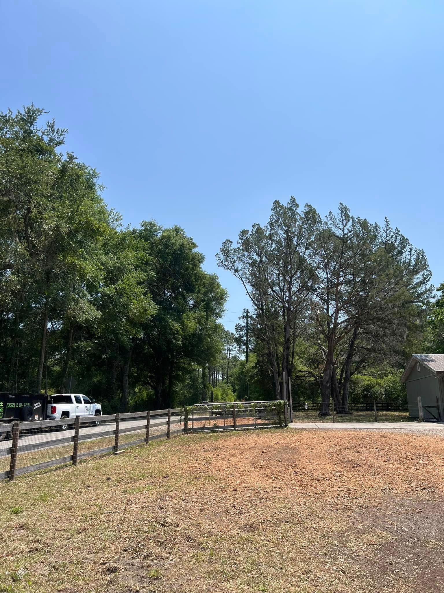 A sunny outdoor scene with trees, a wooden fence, dry grass, and a white truck.