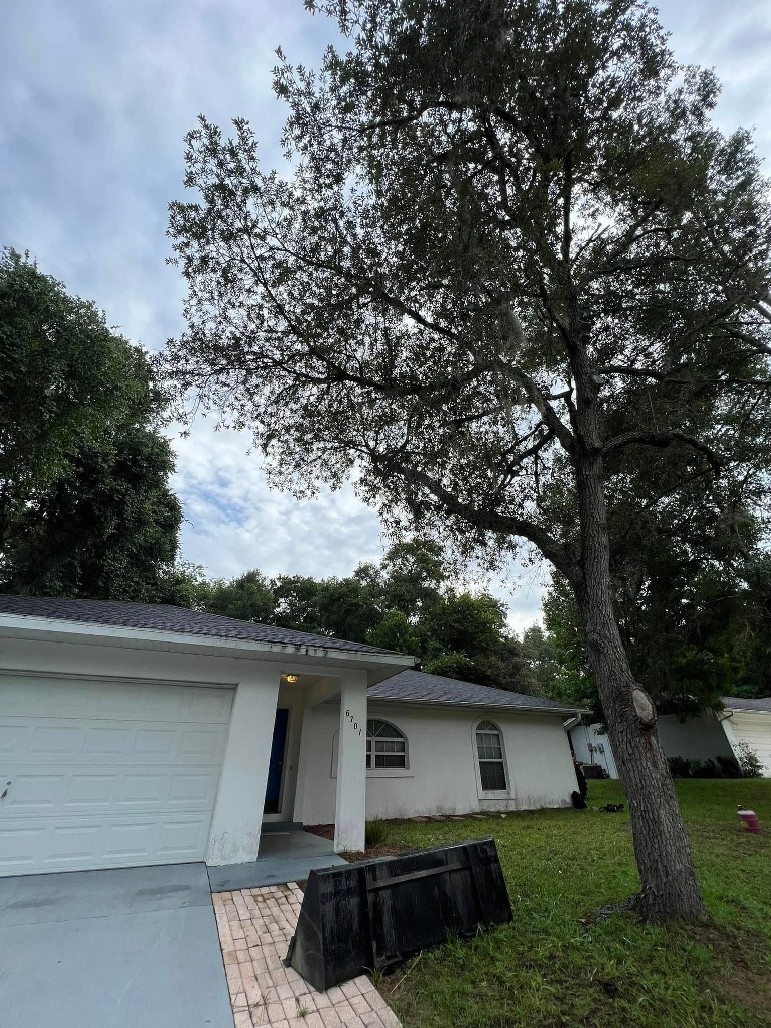 White house with gray roof, tree in front, cloudy sky.