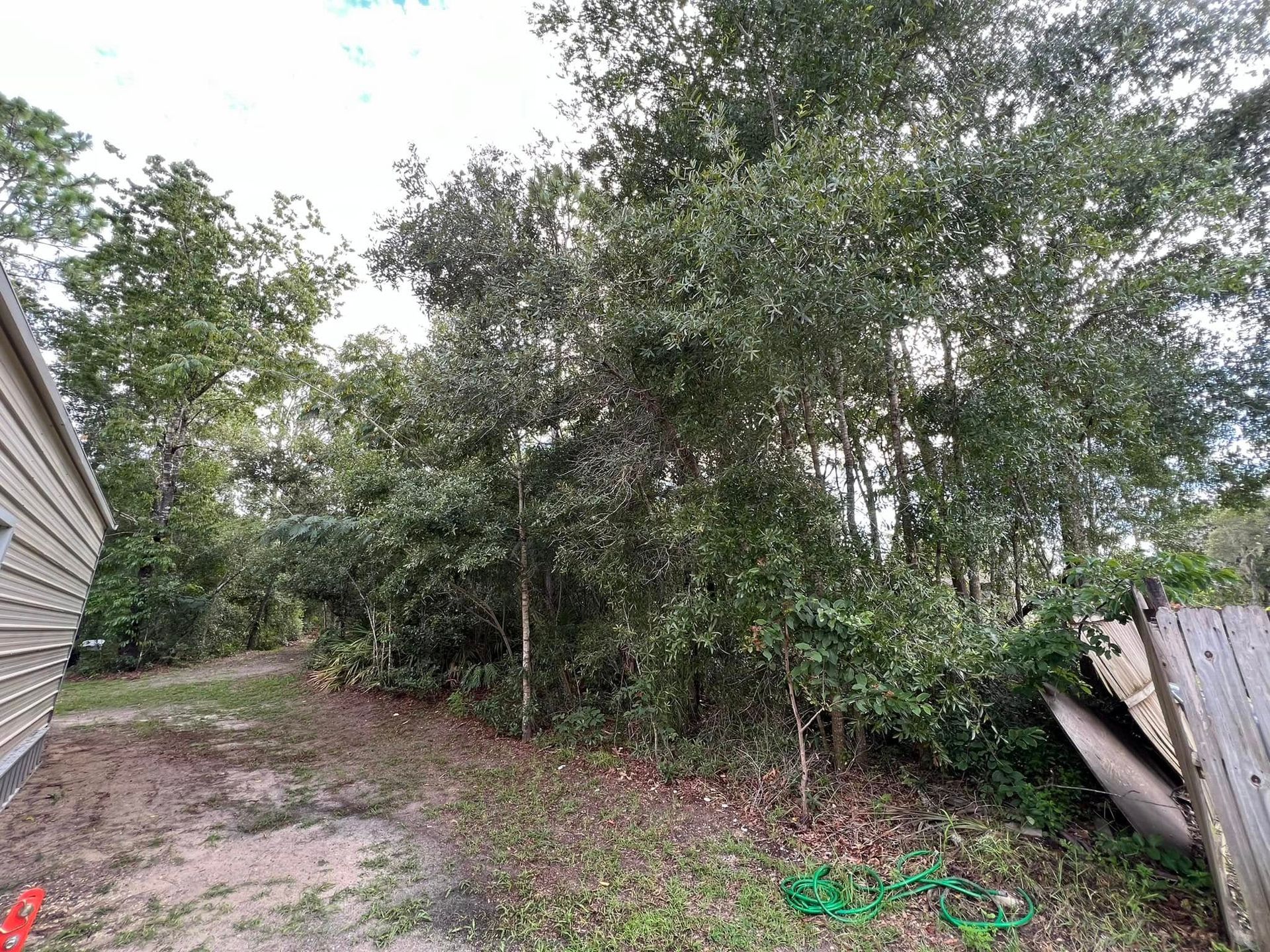 A backyard with trees and a building to the left and a weathered fence to the right.