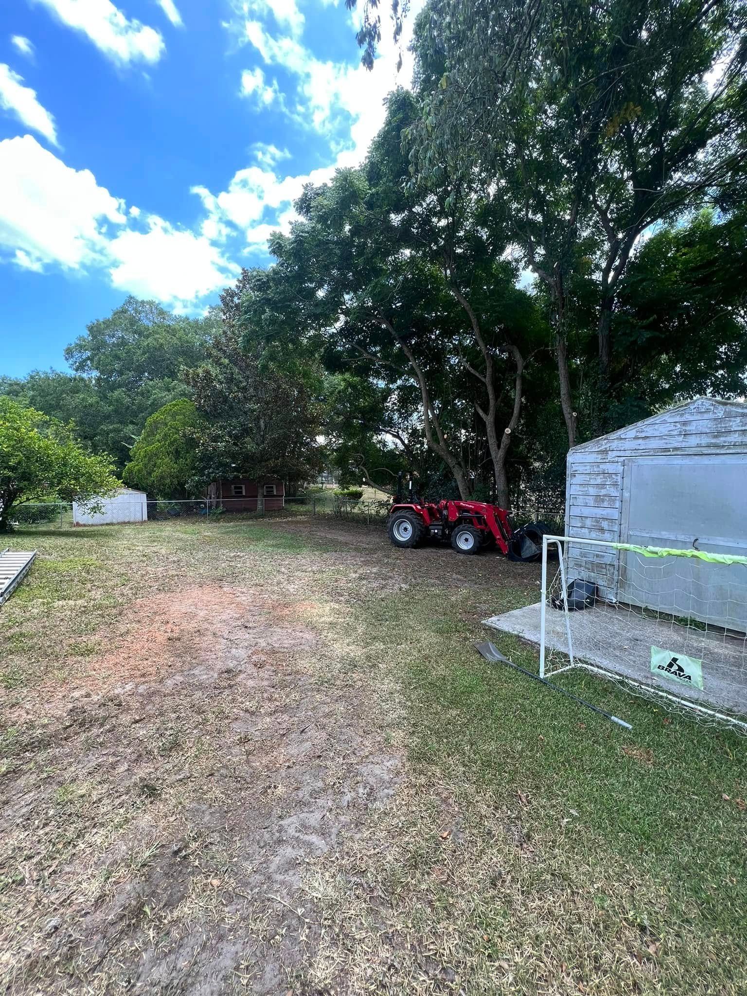 Backyard with a tractor, trees, and partial buildings on a sunny day.