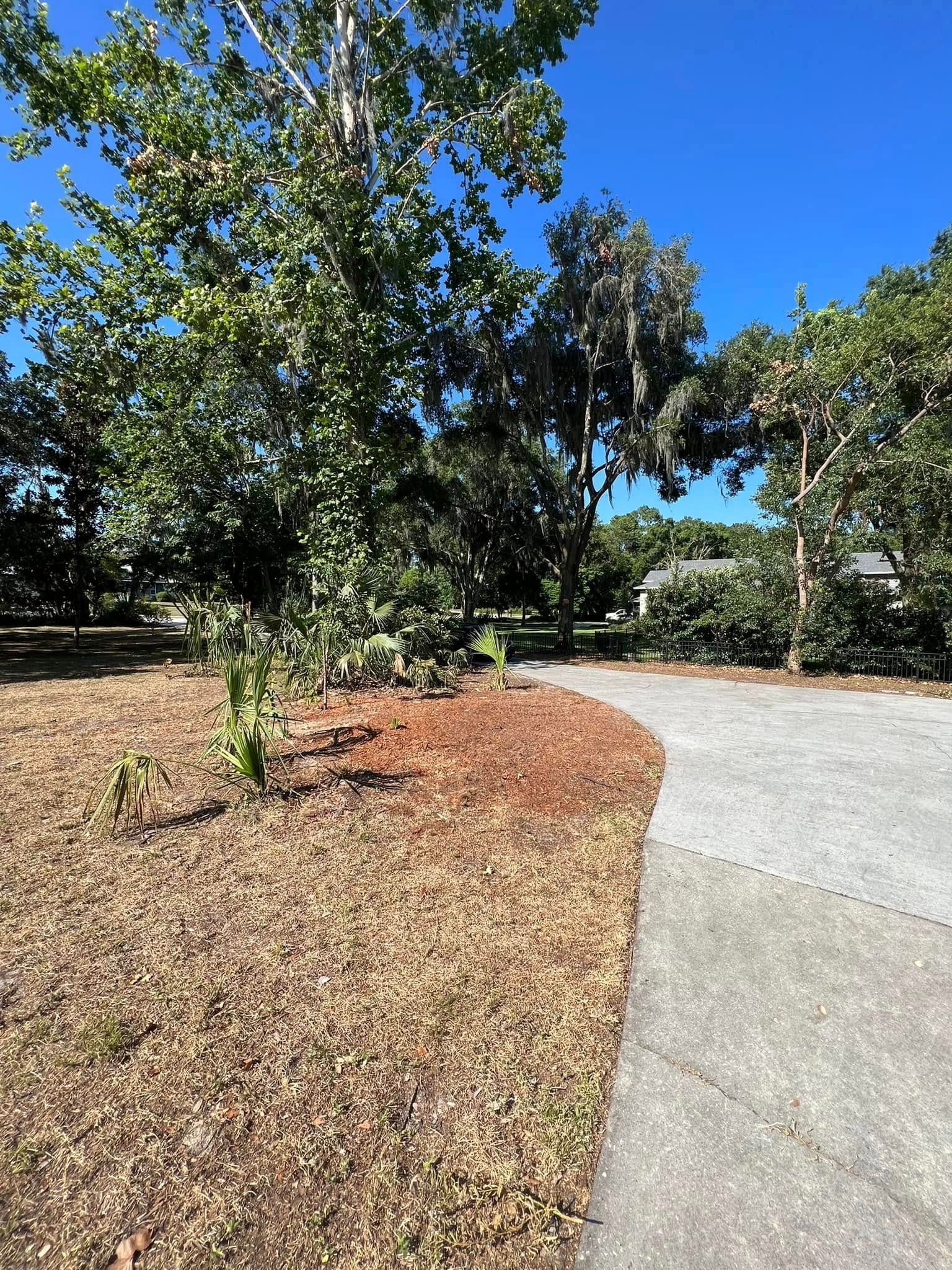Pathway curves through a park with trees and brown grass under a bright blue sky.