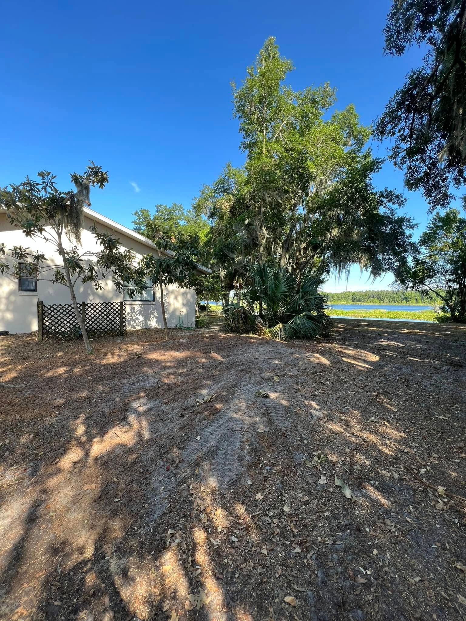 A house and bare ground with wood chips lead to a tree-lined body of water under a blue sky.