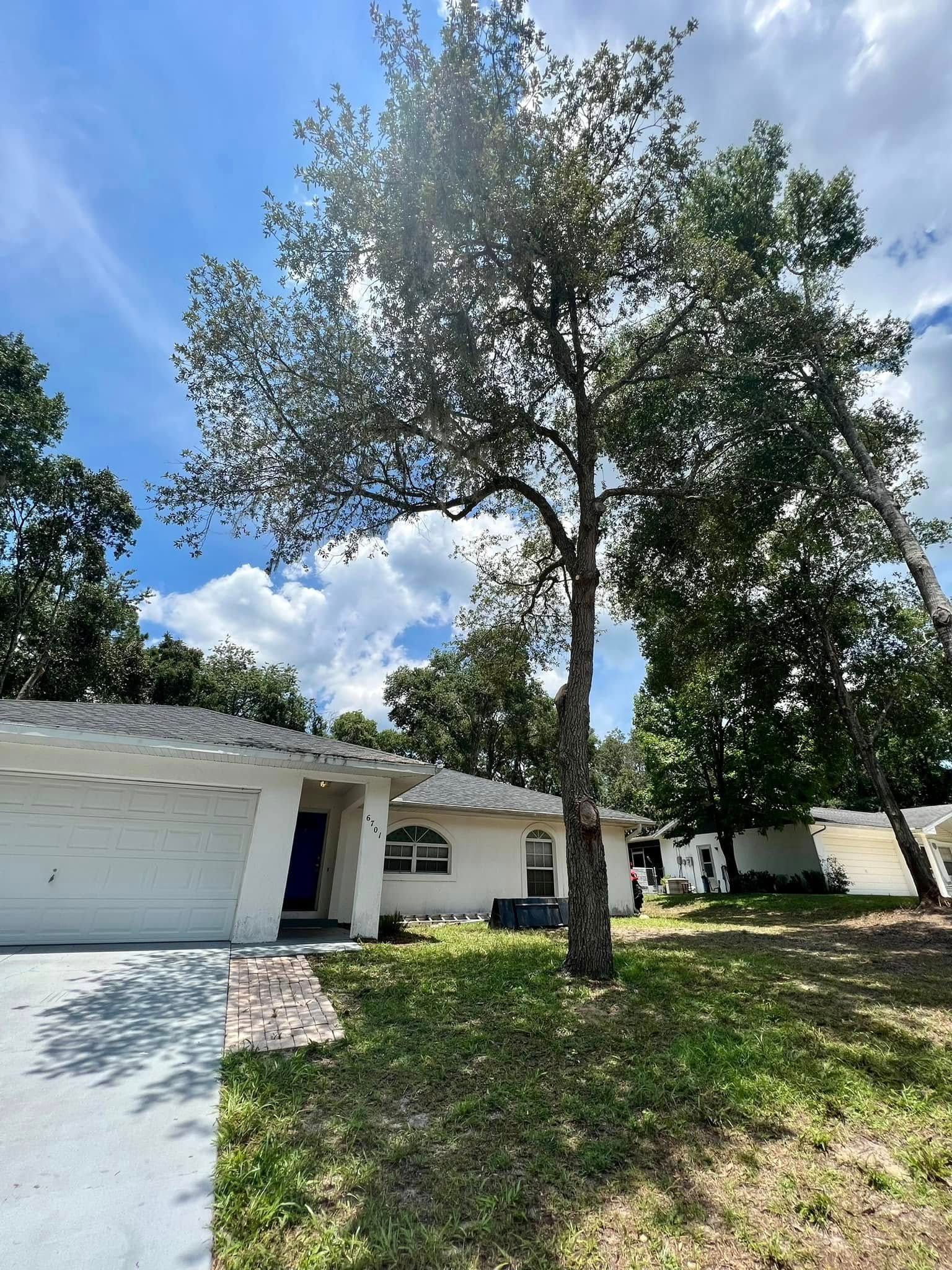 White house with garage and tree in front yard, sunny day with clouds.