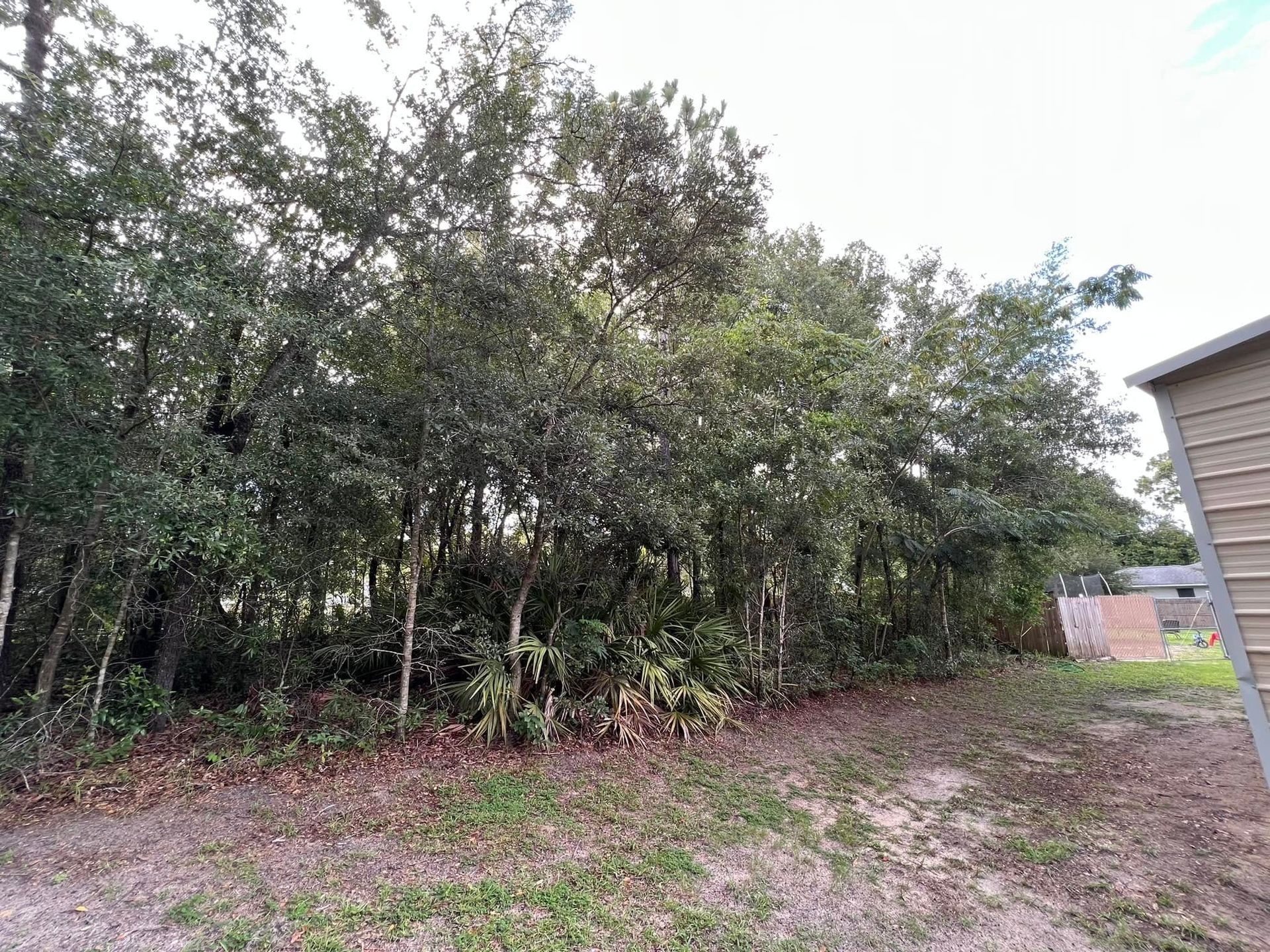Trees form a natural border, separating a grassy area from a building with tan siding.