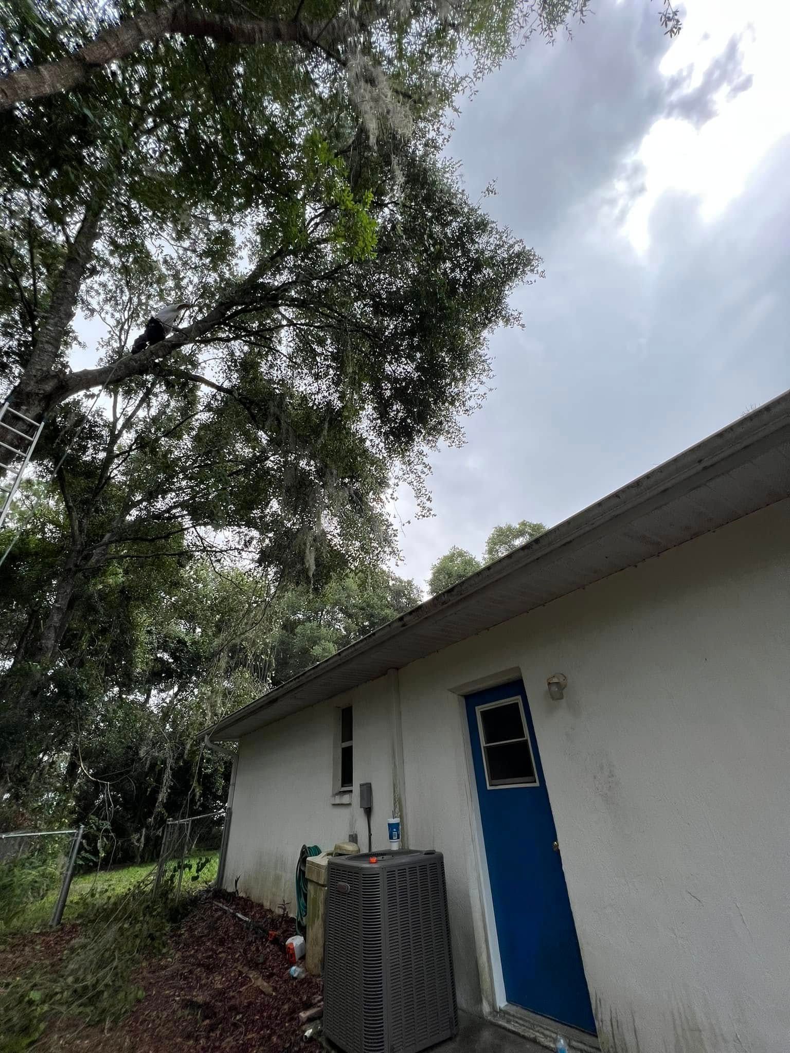 Exterior view of a white stucco house with a blue door, an air conditioning unit, and a tree with Spanish moss.